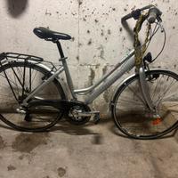 Bicicletta da sistemare