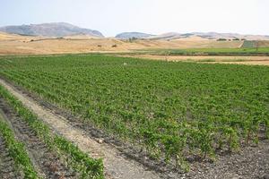 Terra a sud di Milano