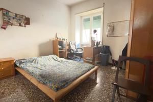 Stanza singola adiacenze piazza bologna