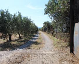 Casa Indipendente con Terreno in Loc. S'Arriali