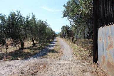 Casa Indipendente con Terreno in Loc. S'Arriali