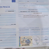 Barca con licenza 6 GT