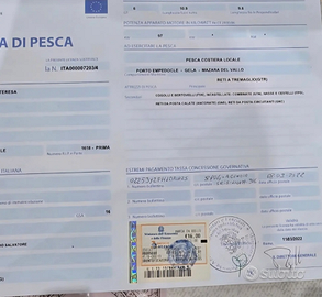 Barca con licenza 6 GT