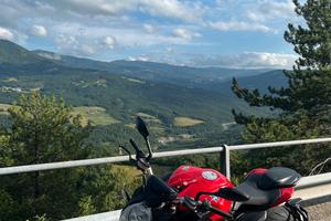 MV Agusta Brutale 800