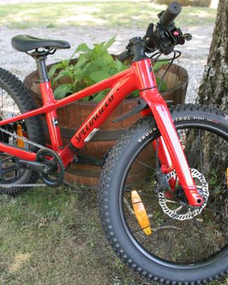 Specialized Riprock 20”