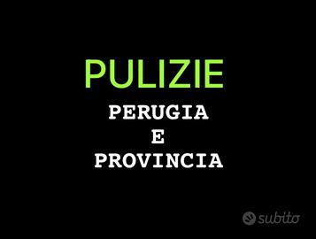 PULITORE o LAVAPIATTI automunito pg e provincia