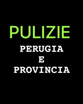 PULITORE o LAVAPIATTI automunito pg e provincia