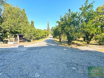 Antico Casale immerso nel verde a Fiumefreddo (CT)