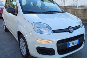 Fiat Panda 1.2 69 cv Easy