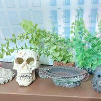 Acquario allestimento