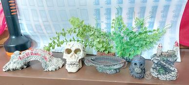 Acquario allestimento