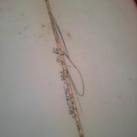 Surf Malibu 7'10 , volume 58Lt