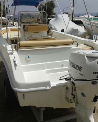 Saver 540 Evinrude 90cv