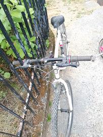 Bicicletta Frejus