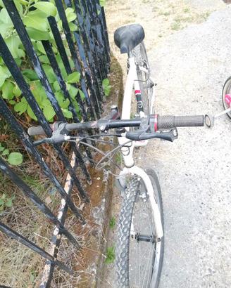 Bicicletta Frejus