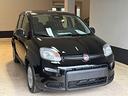 fiat-panda-1-0-firefly-s-s-hybrid-pandina-km0-2025