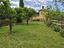 Immagine 15
