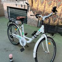 Bici elettrica
