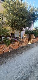 Vacanze a Cala Liberotto Golfo di Orosei