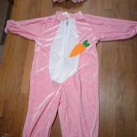 Vestito carnevale bimba 