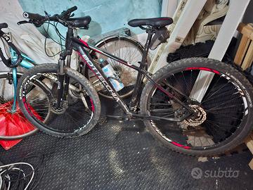 mtb  bottecchia 