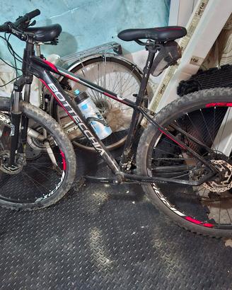 mtb  bottecchia 