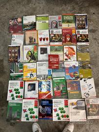 Libri scuole superiori