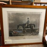 Stampa con cavallo della Dallai