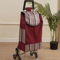 Carrellino spesa/studenti con ruote per le scale