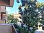Immagine 16