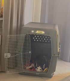 PETMATE SKYKENNEL XXL - kennel / trasportino