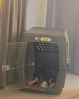 PETMATE SKYKENNEL XXL - kennel / trasportino