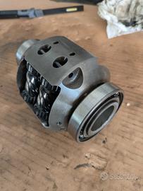 Differenziale torsen audi