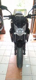  YAMAHA FZ.