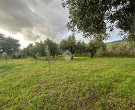 TER. RESIDENZIALE A LAMEZIA TERME