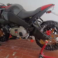 Buell xb12ss Acc.Permuta