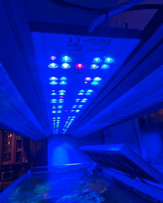 plafoniera acquario marino ati flex 153 g2
