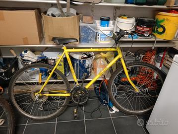 Bicicletta Mountain bike 