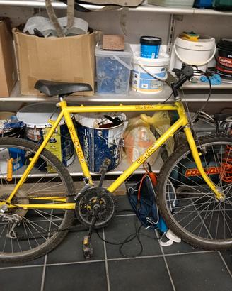 Bicicletta Mountain bike 