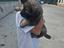 Immagine 4