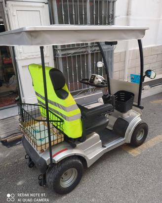 GOLF CART / MACCHINA ELETTRICA