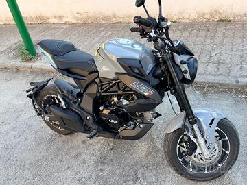 Lem brutus 110