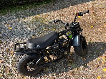 Moto kl