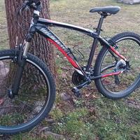 Bicicletta Mondial per ragazzo 14 - 18 anni