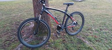 Bicicletta Mondial per ragazzo 14 - 18 anni