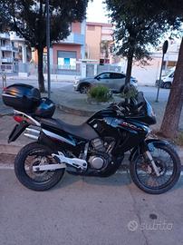 Honda Transalp 650 anno 2006