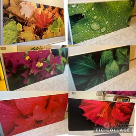 Quadri da parete in resina