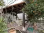 Immagine 21