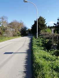Terreno ossi