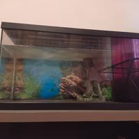 Acquario 80 litri 